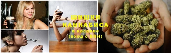 прущие грибы Белокуриха