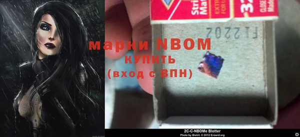 прущие грибы Белокуриха
