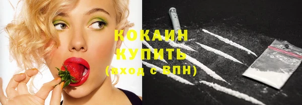прущие грибы Белокуриха