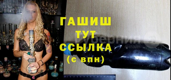 прущие грибы Белокуриха