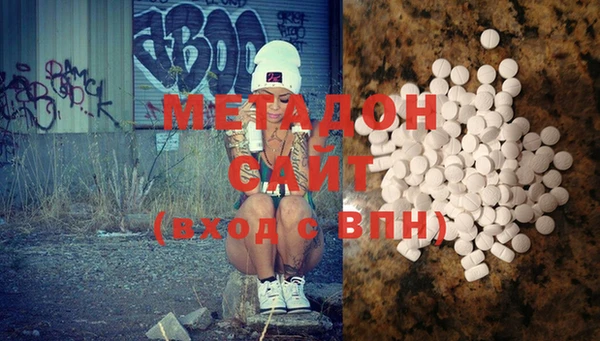 прущие грибы Белокуриха