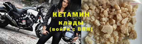 прущие грибы Белокуриха