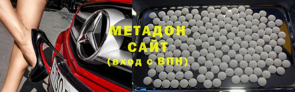 прущие грибы Белокуриха